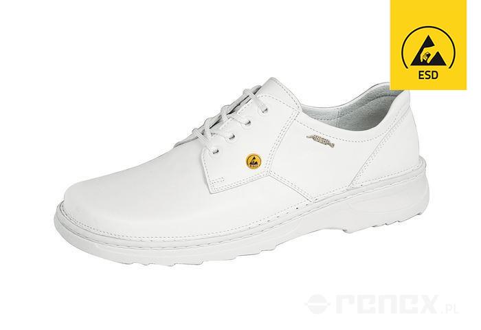 ESD Occupational Shoes, 35700