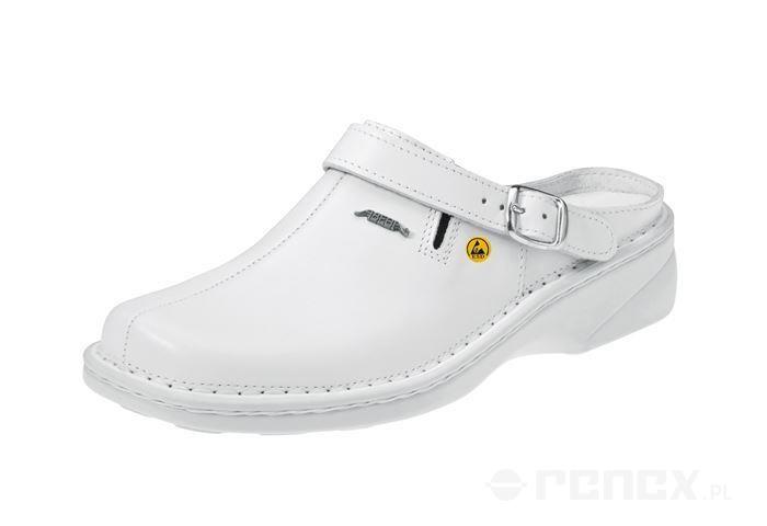 ESD Occupational Clogs, 36903